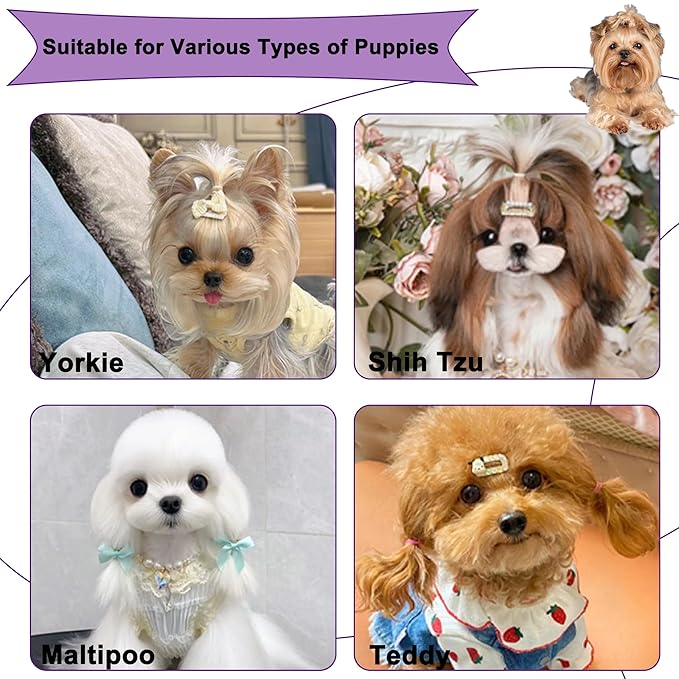 Gentle Grooming Puppy Brush with Gift Box ， Fit for Small Dog ， Yorkie, Shih Tzu, Maltipoo, Maltese and Pomeranian ，Toy Poodle Accessories, Soft Bristle (Glitter Rose Red)