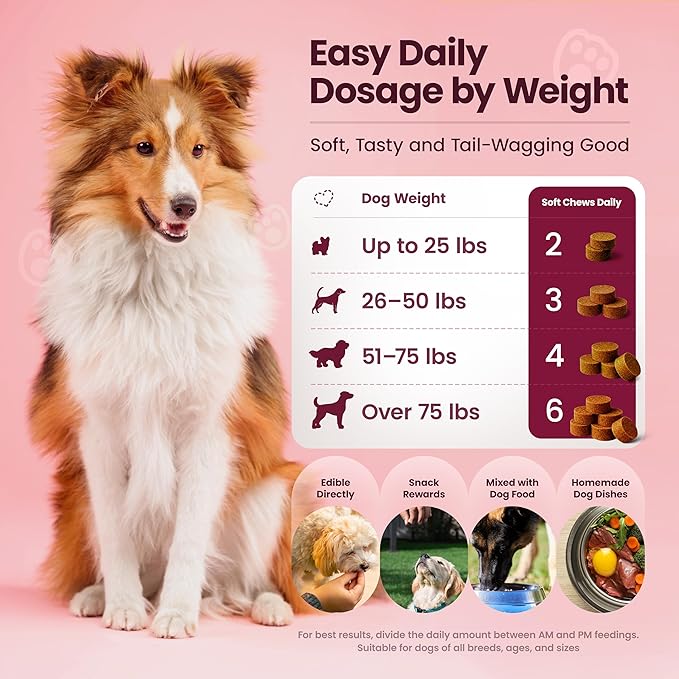 Dog Multivitamin Chewable Dog Vitamins and Supplements with Glucosamine, Probiotics & Omega – 120 Dog Vitamins Multivitamin for Skin, Coat, Joint & Immune Health