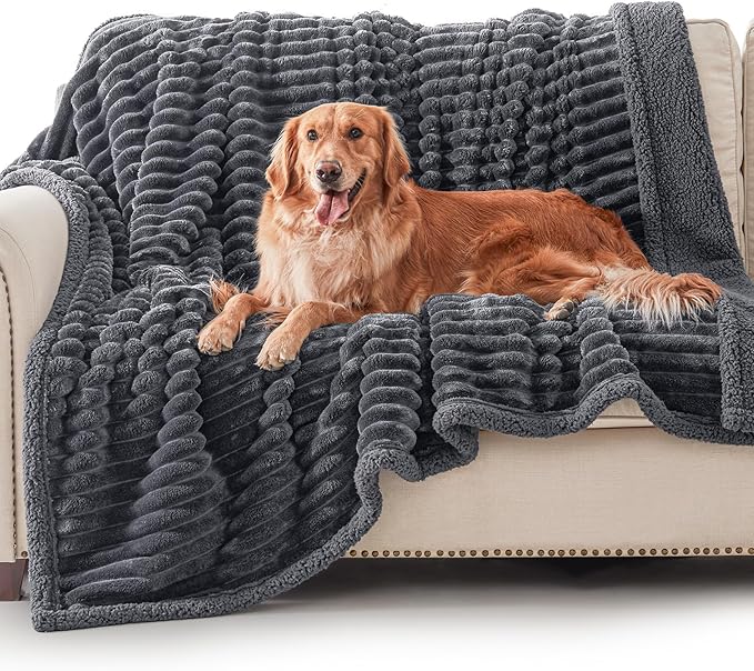 Waterproof Dog Blanket for Large Dogs, Washable Soft Puppy Cat Blanket Flannel Cotton Velour for Sofa Couch Protector, Comfort & Security Reversible Bed Protection for Pet, 60"X80", Gray