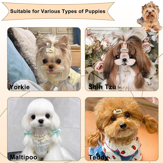 Gentle Grooming Puppy Brush with Gift Box ， Fit for Small Dog ， Yorkie, Shih Tzu, Maltipoo, Maltese and Pomeranian ，Toy Poodle Accessories, Soft Bristle (Rose Gold)