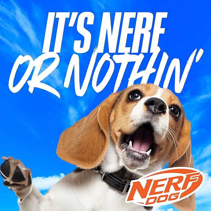Nerf Dog 16.5in Nylon Ultraplush Crinkle Wing Launching Duck Dog Toy - Green/Light Blue