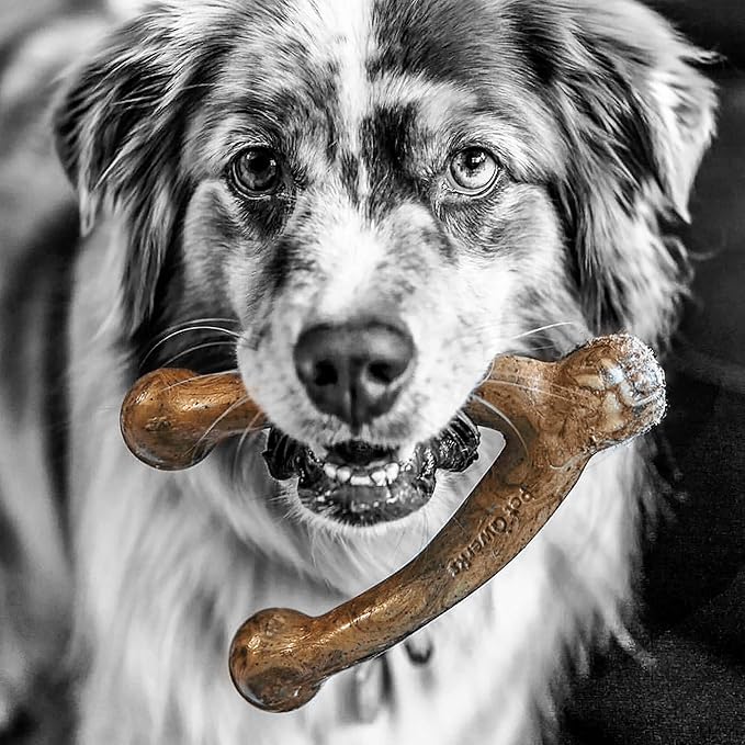 Pet Qwerks Wishbone BarkBone - Nylon Chew Toy for Aggressive Chewers - Bacon Flavor - 5.38"