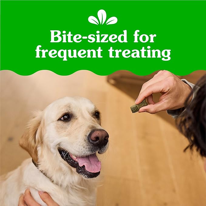 Greenies Anytime Bites Dog Treats, Original Flavor, Dog Training Treats, 10.3 oz. Bag