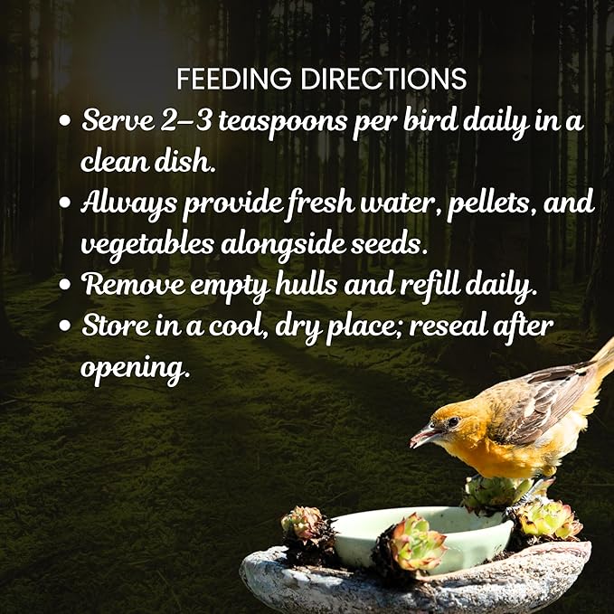 Danodia's Zoolulu Budgies & Finches Millet Mix (950g /2 lbs) | Bird Seed Blend for Budgies, Finches & Canaries | Daily Healthy Nutrition