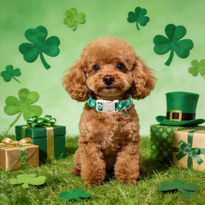 Maca Bates St. Patricks Dog Collar with Clover Charm for Extra Small Girl Boy Dogs, Green Plaid,Argyle Pattern,Adjustable Durable Soft Checkered Collars Irish Shamrock Gift for Male Female Puppy