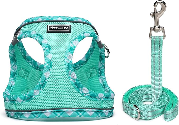 Mercano Soft Mesh Dog Harness and Leash Set, No-Chock Step-in Reflective Breathable Lightweight Easy Walk Vest Harnesses with Safety Buckle for Small Dogs, Cats (Light Green, M)