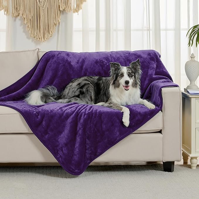 Waterproof Blanket for Bed Couch Sofa, Soft Liquid Pee Proof Pet Blanket for Dog Puppy Cat, Reversible Sherpa Fleece Furniture Protector (Dark Purple, 60x80 inches)