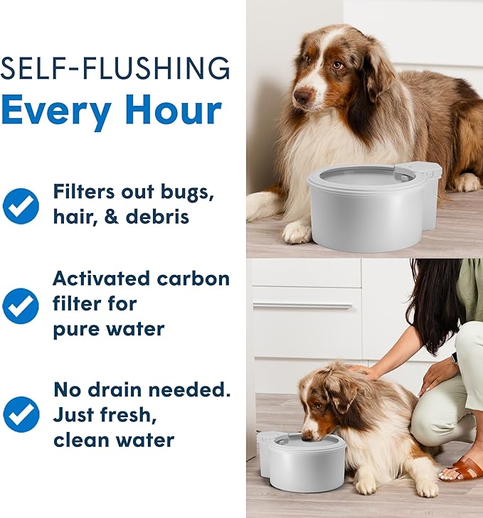 Always Full® 7” Cat Water Bowl with Wall Unit, Self Refilling Clean Filtered Water System, App Enabled Smart Hydration Tracking, Automatic Water Bowl for Cats and Dogs