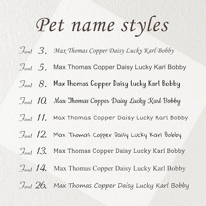 Anavia Slide On Silent Pet ID Tags, S/M/L/XL Personalized Black Stainless Steel Colored Silicone Cat Dog Name Tag, Customized Engraved Nameplate, Quiet Chew-Proof Pet Collar Tag (Black, X-Large)