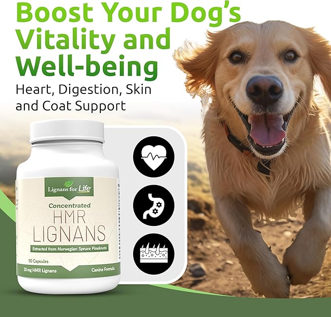 Lignans For Life HMR Lignans 20mg - 90 Capsules - Vitamin for Healthy Pet | Natural Multivitamin | Wellness Supplement | Overall Health with Phytonutrients