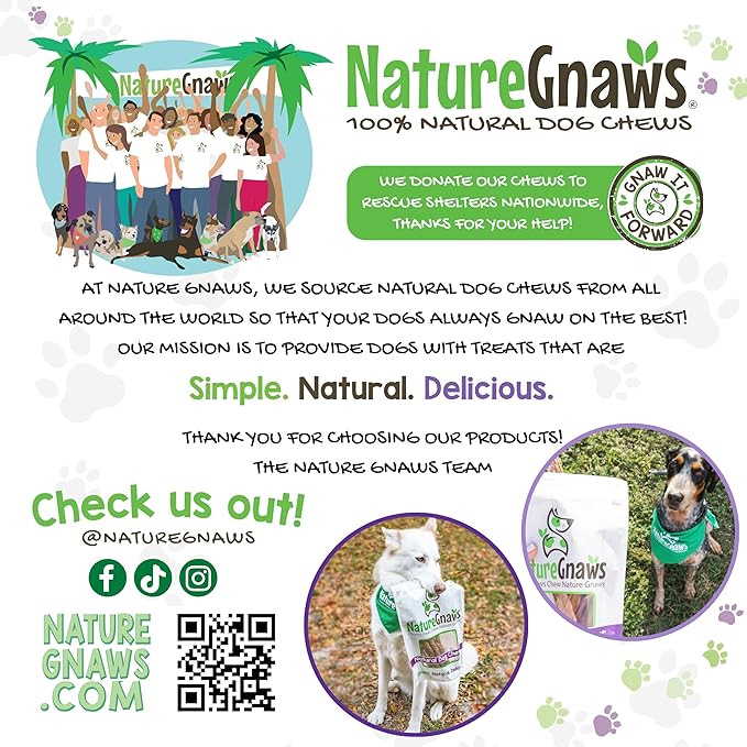 Nature Gnaws Thin Bully Sticks for Dogs 5-6" (1Lb) - Mixed Thickness - Long Lasting for Small Dogs and Puppies - Natural Thin Beef Dog Chew Bones - Rawhide Free