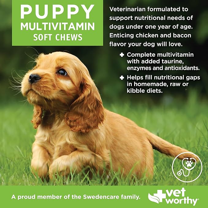 Vet Worthy Puppy Multi Soft Chews - Daily Multivitamin for Dogs - Supports Healthy Growth & Development - Chewable Puppy Multivitamin for Energy Boost and Immunity - Multi Vitamins for Dogs - 60 Count