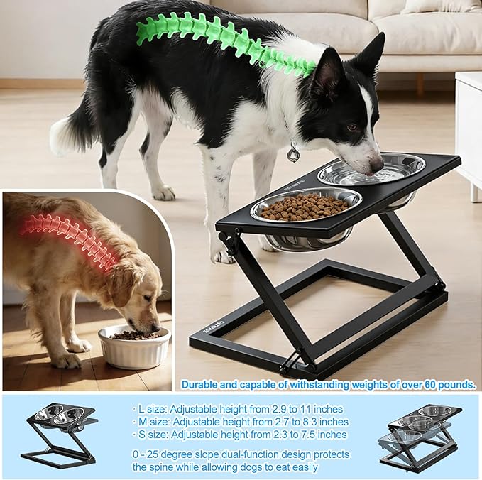 Elevated Dog Bowls, Adjustable Raised Dog Bowl Stand with 2 Stainless Steel Food Bowls 20°Tilted Water Bowls for Small Sized Dogs and Cats (Black, Small)