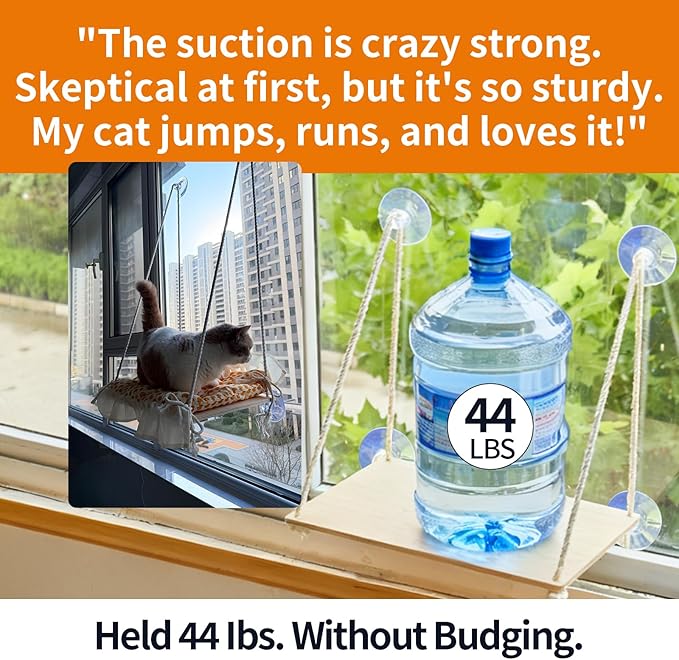 Cat Window Perch, Heavy Duty 20KG/44LB Suction Cup Hammock Bed with Soft Cushion, Secure & Stable Window Mount for Lazy Time, Bird Watching, Safe for Large Cats, 18.9"x14.5" (Little Bear)
