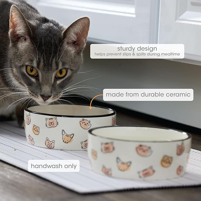 Pearhead Ceramic Cat Bowl – Cute Cat Face Water & Food Dish, Wide Shallow Whisker-Friendly Design for Kittens & Small/Medium Cats, Heavy Non-Slip Pet Feeding Bowl 2-Cup (Pack of 2)