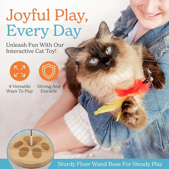 9pcs Interactive Cat Toys for Indoor Cats Suction Cup Cat Toys for Indoor Cats Bird Hunting Slefplay Simulation for Kitten Flying Bird Toy Feather Wand Attachments