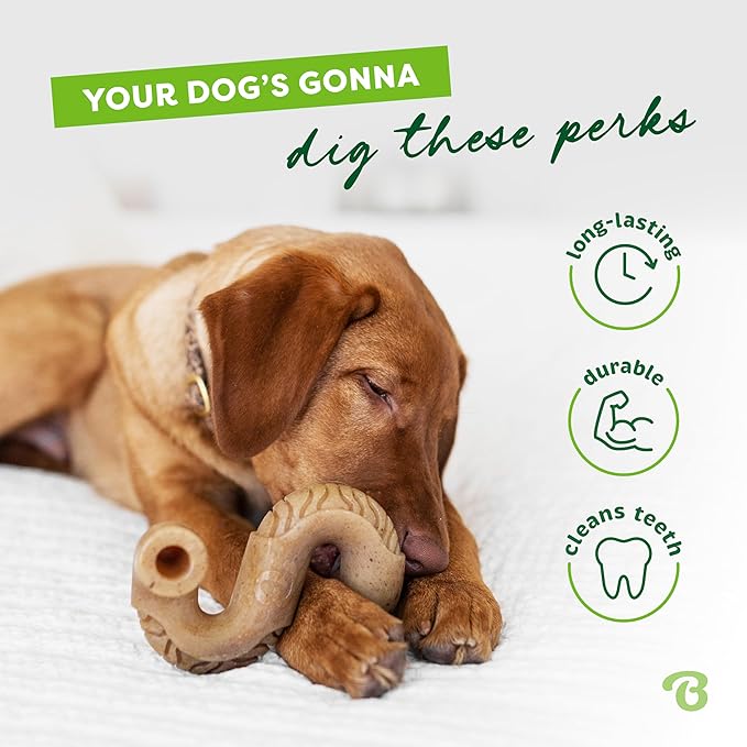 Benebone Tiny 2-Pack, Tripe Bone Durable Dog Chew Toy for Aggressive Chewers, Real Tripe, Made in USA
