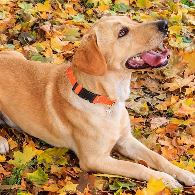 Cotton Handmade Dog Collar Cute and Distinctive Patterns Orange Fish with Pendant for Girl Boy Dogs Collars M