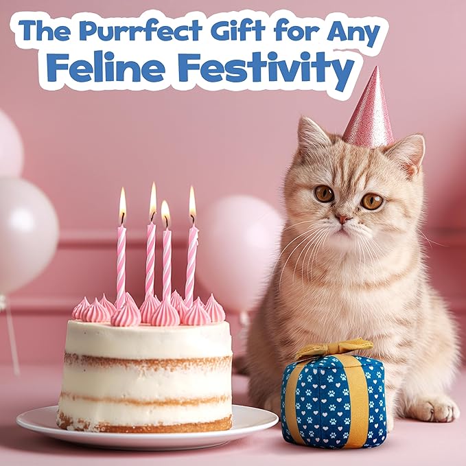 Gift Box Catnip Toy – Birthday Cat Toy with Catnip & Crinkle, Cute Plush Present for Indoor Cats, Birthday & Valentines Day Cat Gift
