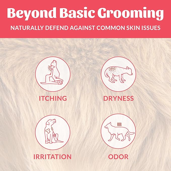 Skout’s Honor Probiotic Natural Dog Shampoo and Conditioner with Avocado Oil & Omega-3s, Gentle Puppy Shampoo, Hydrating Dog Conditioner, 97% Natural, Paraben & Sulfate-Free, Cruelty-Free, 16 oz