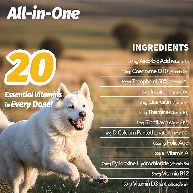 Dog Vitamins Multivitamin Chewablew, Multivitamin & Coenzyme Q10 Dog Supplement for All Dogs (Chicken,90 Chews)