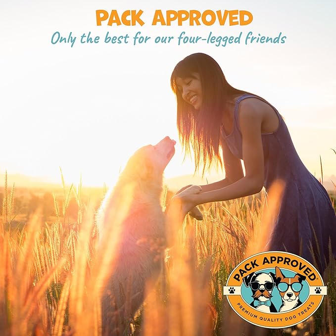 Finger Ear Wipes for Dogs with Aloe Vera and Eucalyptus - Convenient, Extra-Coverage, and Large Design Dog Ear Cleaning Wipes - Removes Wax and Freshens Ears - 50 Wipes