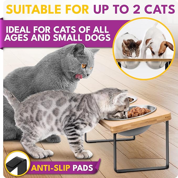 Raised cat Bowls for Indoor Cats by WinTruffles, Elevated cat Bowls with Cat Food Mat, Tilted and Elevated Anti Vomiting Cat Dishes for Food and Water, Set of 2 Stainless Steel Bowl with Silicone Mat