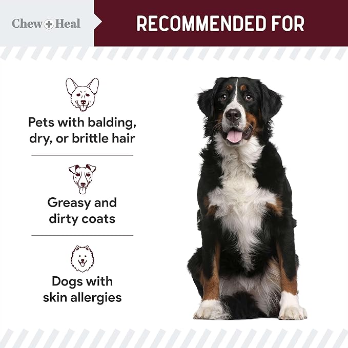 Dog Skin and Coat Supplement -360 Soft Chew Omega Treats for Skin Allergies -Salmon Oil Blend of Essential Fatty Acids, Omega 3, 6, Vitamins, Minerals -Made in USA (2 Packs of 180, Lamb Flavor)