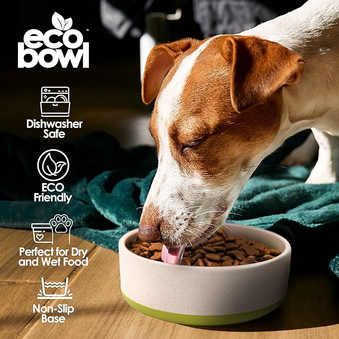 Palz&Co EcoBowl with Lid for Dogs & Cats, 48 oz Green - Natural Bamboo Pet Bowl with Non-Slip Base, Pet Food and Water Dish, Dishwasher Safe