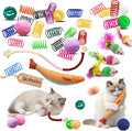 36 Pcs Interactive Cat Toys Set for Indoor Cats Kitten Toys Variety Pack Includes Plush Fish, Chew Ropes,12Colors Cat Springs, Feather Mice and Balls Best Gift to Relieve Boredom for Adult Cats