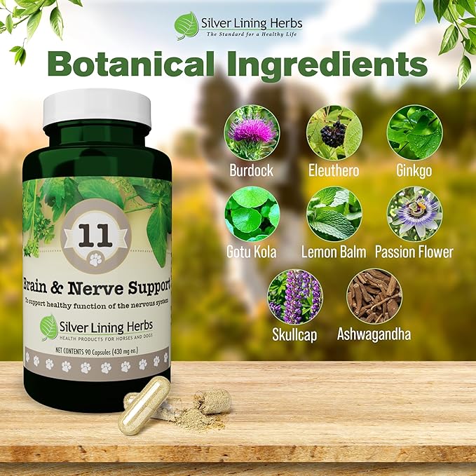 Silver Lining Herbs Brain Health & Dog Nerve Supplements - 11 Canine Herbal Supplement Helps Maintain Central Nervous System, Spinal Cord & Balanced Behavior - 90 Capsules