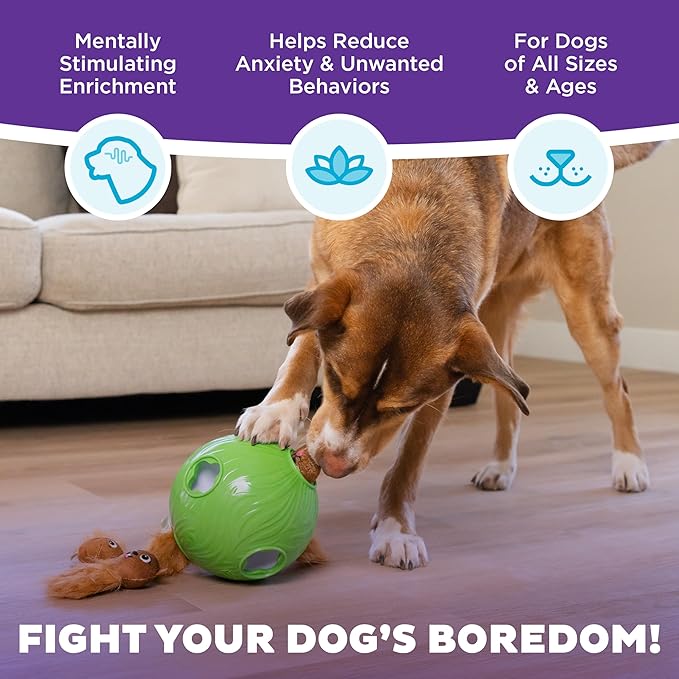 Outward Hound by Nina Ottosson Dog Snuffle N' Treat Ball Puzzle, Level 2 Intermediate, Green, Large