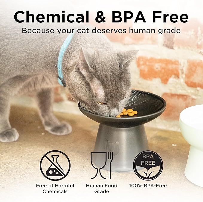Necoichi 2pcs Extra Wide Elevated Cat Food Bowls – BPA-Free Plastic Raised Bowls to Reduce Whisker & Neck Fatigue – Dishwasher & Microwave Safe – Non-Slip, Anti-Vomiting Ergonomic Design (Urban Fog)