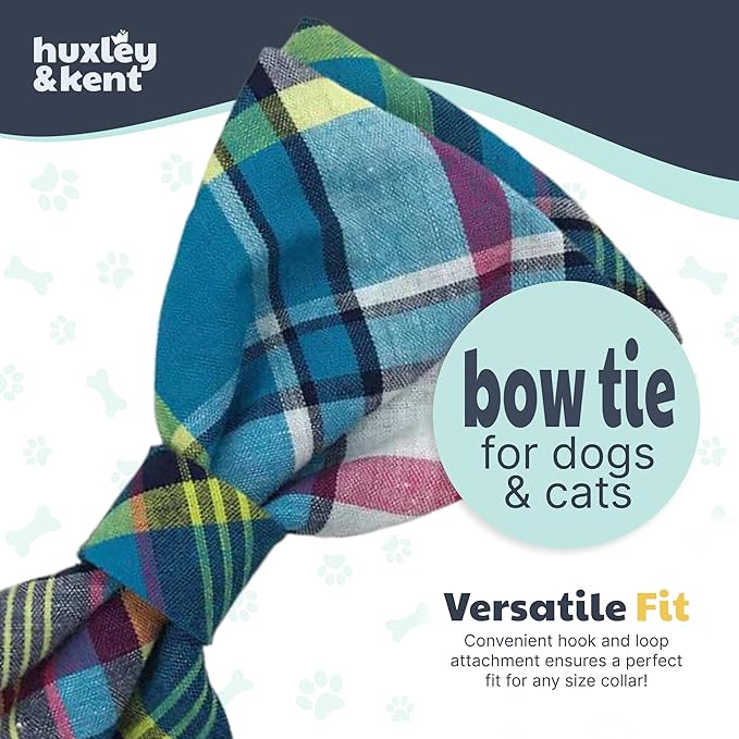 Huxley & Kent Pet Bow Tie for Dogs & Cats - Adjustable Hook & Loop Collar Accessory - Cute & Comfortable for Holidays & Celebrations - Blue Madras, Large