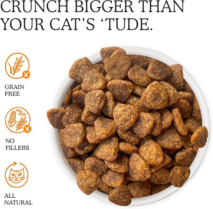 Cat Person, Chicken Savory Crunchies Cat Treats, 2oz Bag
