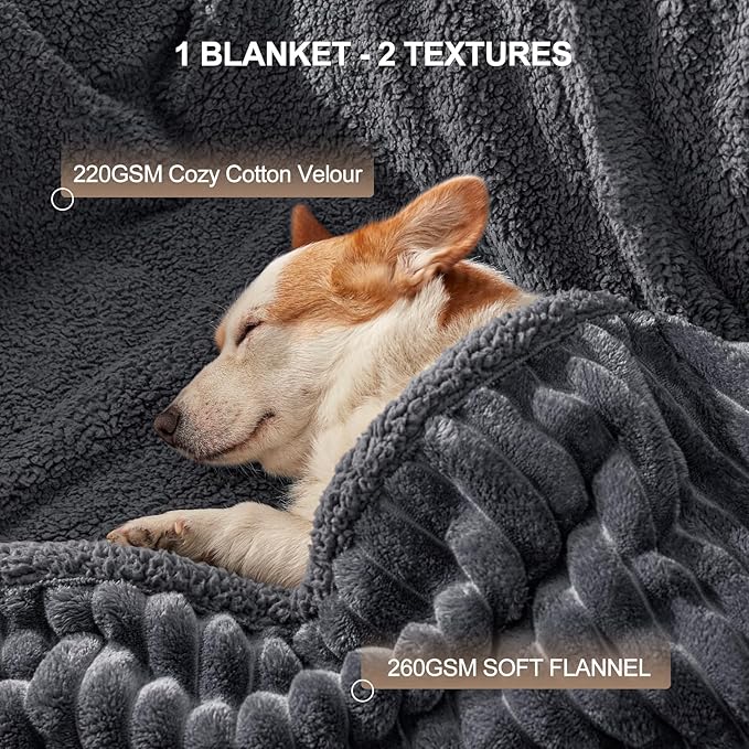 Waterproof Dog Blanket for Large Dogs, Washable Soft Puppy Cat Blanket Flannel Cotton Velour for Sofa Couch Protector, Comfort & Security Reversible Bed Protection for Pet, 40"X50", Gray