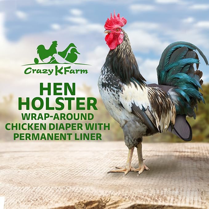Hen Holster Premium Starter Kit - Bird Diaper, Wrap Around for Hens, Roosters, Ducks - Leak-Proof, Comfortable Bird Harness with Sewn-in Liner, Secure Hook & Loop Closure - S/M, Gray