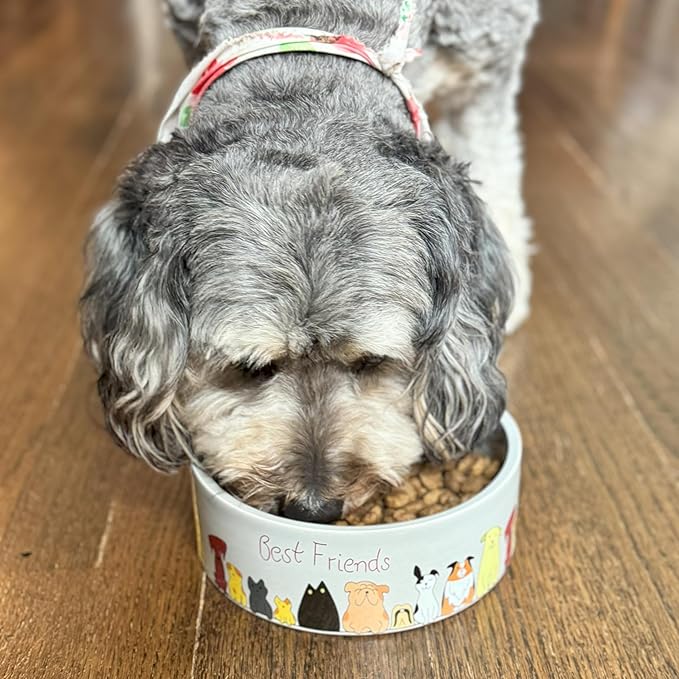 SPOT Best Friends Pet Food Dish - Food or Water Ceramic Bowl for Pets, Ideal for Medium & Large Dogs, Dishwasher Safe, 5 Cups (40oz) Capacity - 7in, Light Grey