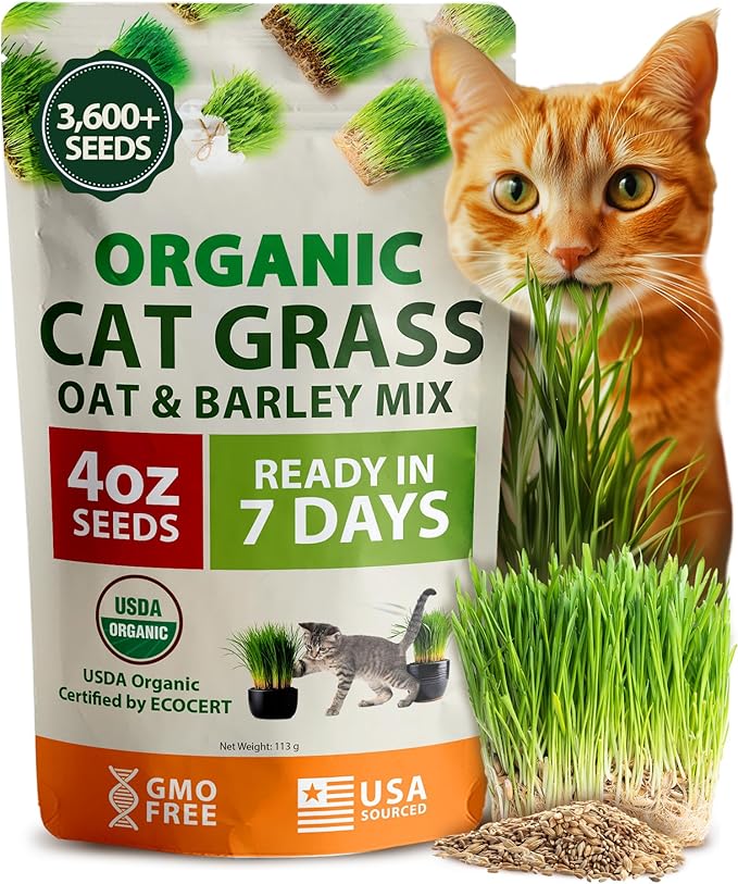 HOME GROWN Organic Cat-Grass Seed Mix (Oat & Barley) – 4 oz – Easy Indoor Planter
