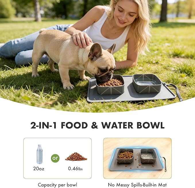 Travel Dog Bowls 20oz, BPA-Free Silicone 2-in-1 Pet Food Water Bowls, Portable Collapsible Dog Bowls for Traveling Camping Hiking Outdoor