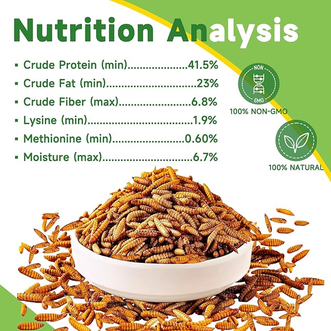 MTART 10LB Dried Black Soldier Fly Larvae Treat for Chicken, 100% Natural Non-GMO More Calcium Than Dried Mealworms High Protein Chicken Feed for Birds, Ducks, Layer Hens