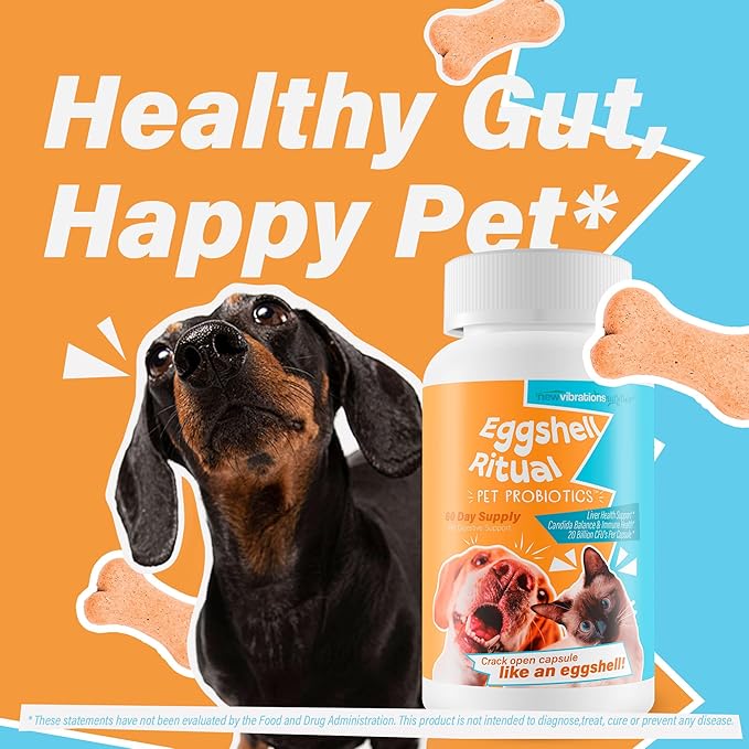 Egg Shell Ritual Pet Probiotics - Our Best Pet Probiotics for Dogs - Skin Probiotic Supplement for Dogs - Cat Gut Health Supplement - Large & Small Pet Probiotic Gut Flora Supplements for Dogs & Cats