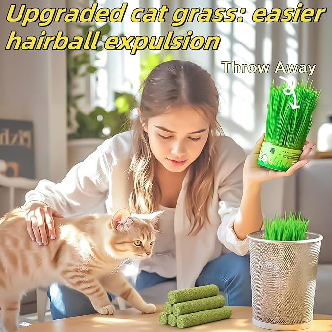 90g/3.17oz Cats Treat Cat Grass Teething Stick Kitten Toy Catnip Toys for Hairball Removal Freeze Dried Chew Dental Food for Indoor Kitty Lickable Edible Snack for Eliminate Fur Digestion