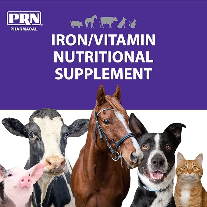 PRN Pharmacal Liqui-Tinic 4X - Iron & B Vitamin Supplement for Pets - Liver-Flavored - 2 fl oz (3 Pack)