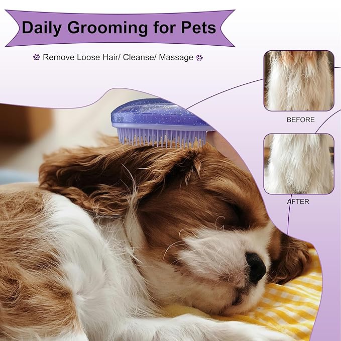 Gentle Grooming Puppy Brush with Gift Box ， Fit for Small Dog ， Yorkie, Shih Tzu, Maltipoo, Maltese and Pomeranian ，Toy Poodle Accessories, Soft Bristle (Glitter Purple)