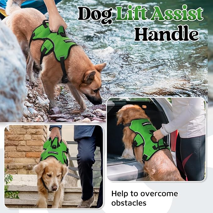 rabbitgoo Escape Proof Dog Harness, Soft Padded Full Body Pet Harness, Reflective Adjustable No Pull Vest with Lift Handle and Lesh Clip for Large Dogs Walking Hiking Training, XL, Green