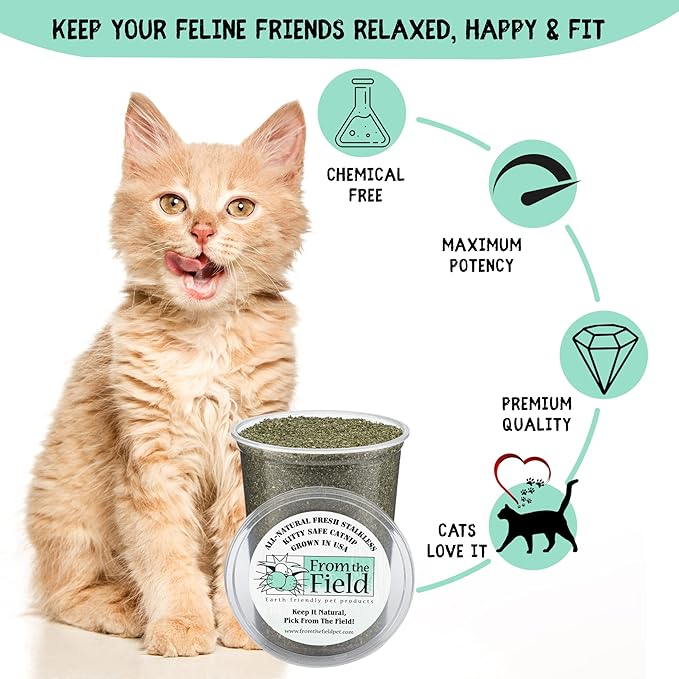 from The Field | Fine Ground Stalkless Catnip | Premium USA-Grown Catnip for Toys & Playtime | Fresh, Potent, Non-Toxic, Eco-Friendly | Safe for Kittens & Cats | Resealable 1.5 Oz Bag