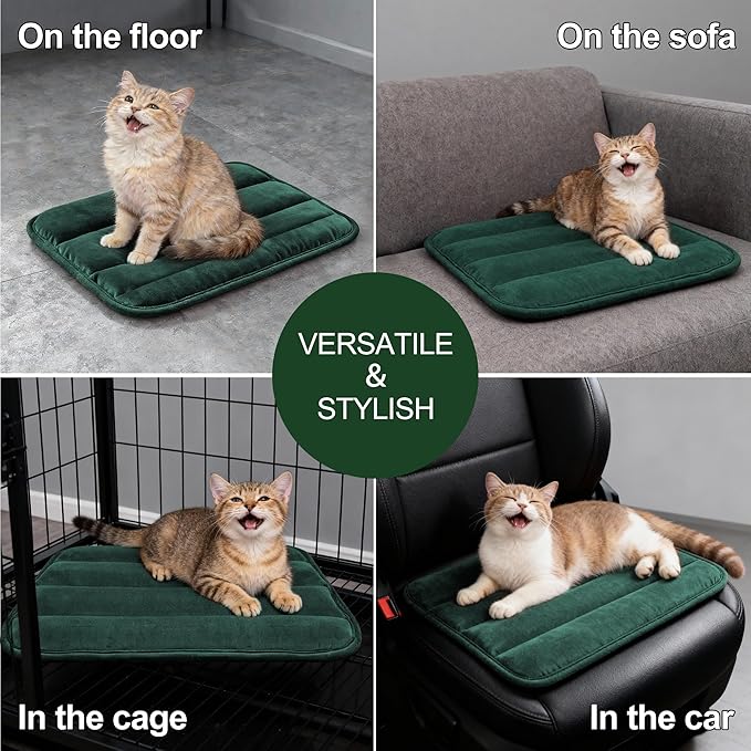 Dog Bed Mat, Reversible Dog Crate Pad with Washable Kennel Mat and Soft Foam, Flat Pet Bed for Dogs & Cats, for Crates Carriers & Travel (Green, 18" L*12" W*1.5" Th)