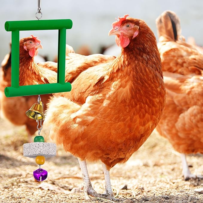 Sumind 2 Pieces Chicken Mirror Toys Hanging Swing Mirror with Bell Wooden Pecking Toy and 4 Pieces Beak Grinding Molar Stones for Hens Birds Parrots(Yellow,Green)