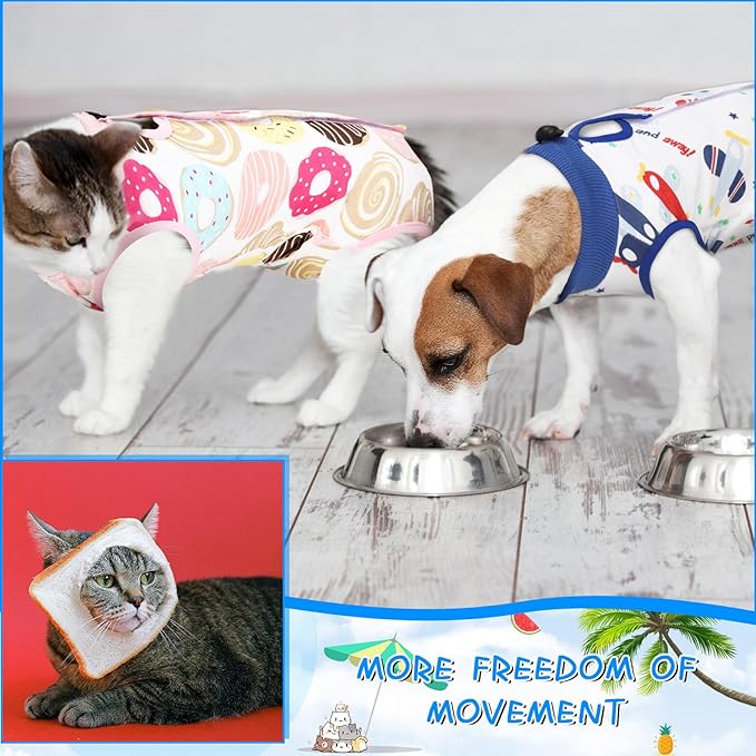 Kacctyen 6 Set Cat Recovery Suit After Surgery Female and Male Cat Kitten Surgery Suit E Collar Alternative Pajama Kitty Clothes for Spay Abdominal Skin Anti Licking(Animal,Small)
